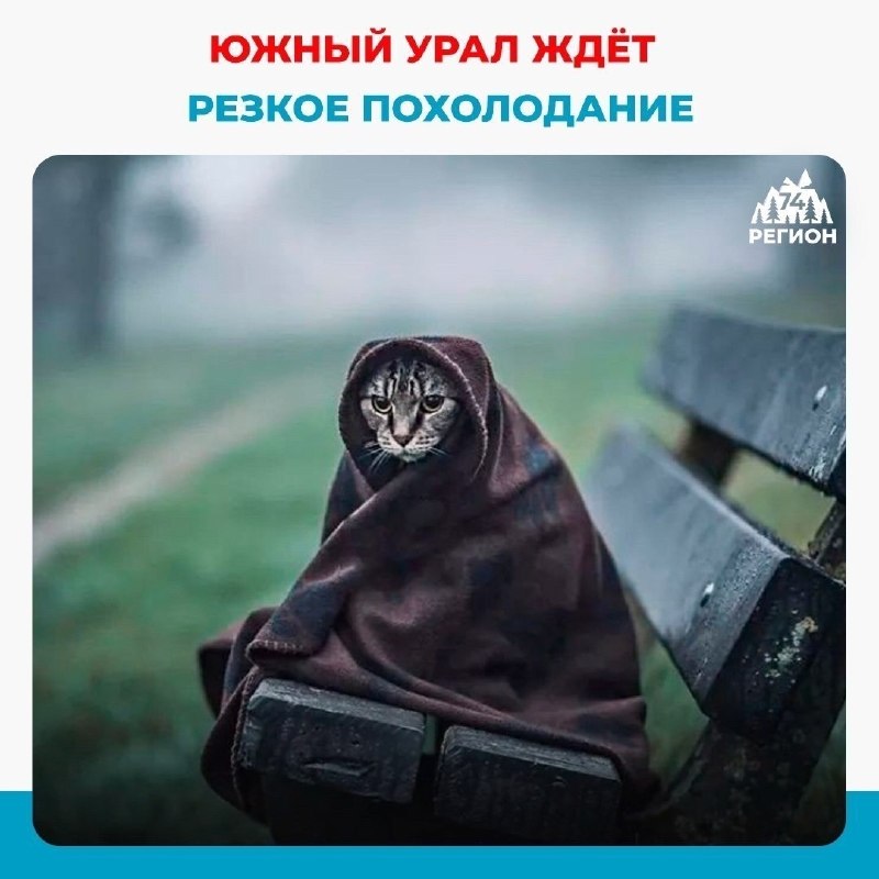 Фото поста канала  Регион 74 | Южный Урал и Челябинск