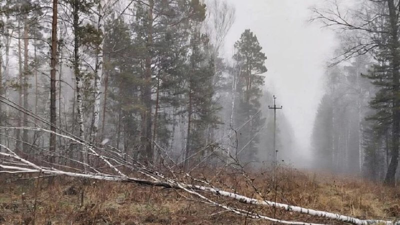 Фото поста канала НОВОСТИ и ТОЧКА! | НОВОСИБИРСК