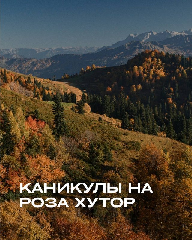Фото поста канала Роза Хутор Live