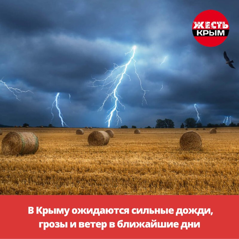 Фото поста канала Жесть Крым • Симферополь • Севастополь