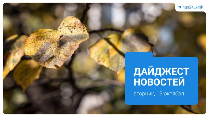 Фото поста канала  Мониторинг 24 Красноярский край