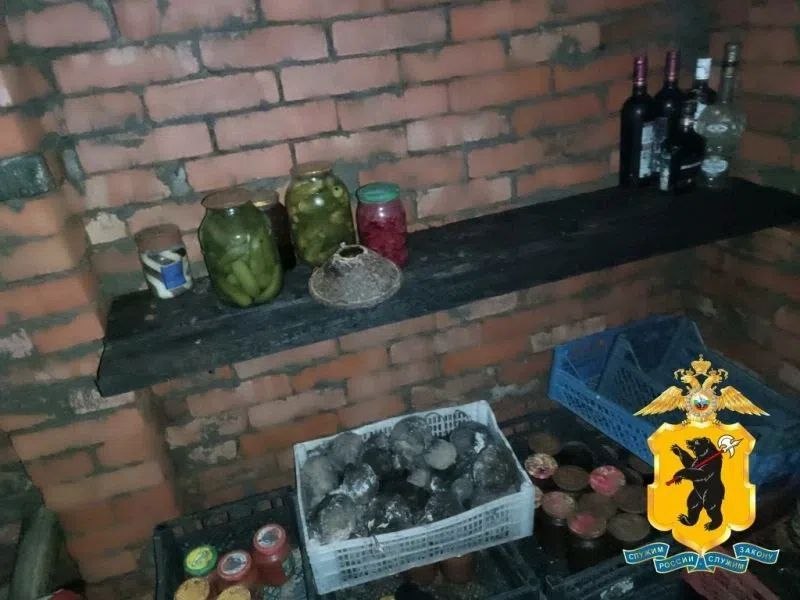 Фото поста канала  Мониторинг 76 Ярославская область