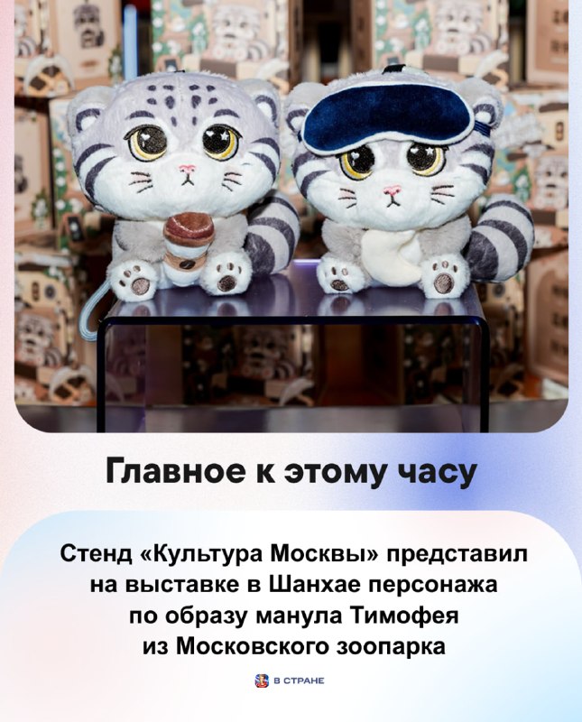 Фото поста канала  В Стране