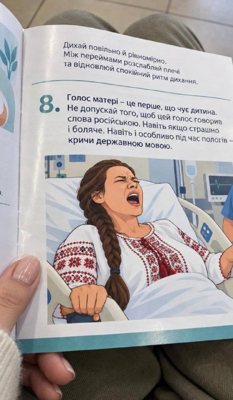 Фото поста канала  Кот Костян - официальный канал🇷🇺