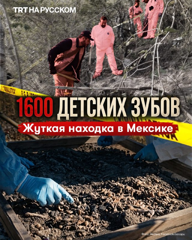 Фото поста канала  TRT на русском
