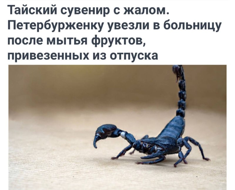 Фото поста канала  Блокнот Россия 18+