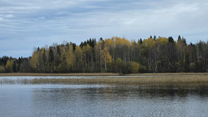 Фото поста канала  АрхДайджест