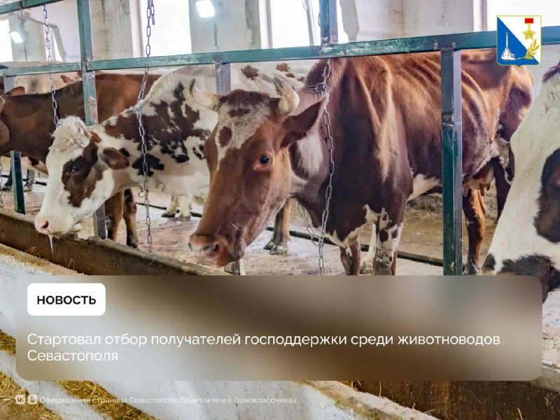 Фото поста канала  Крымский