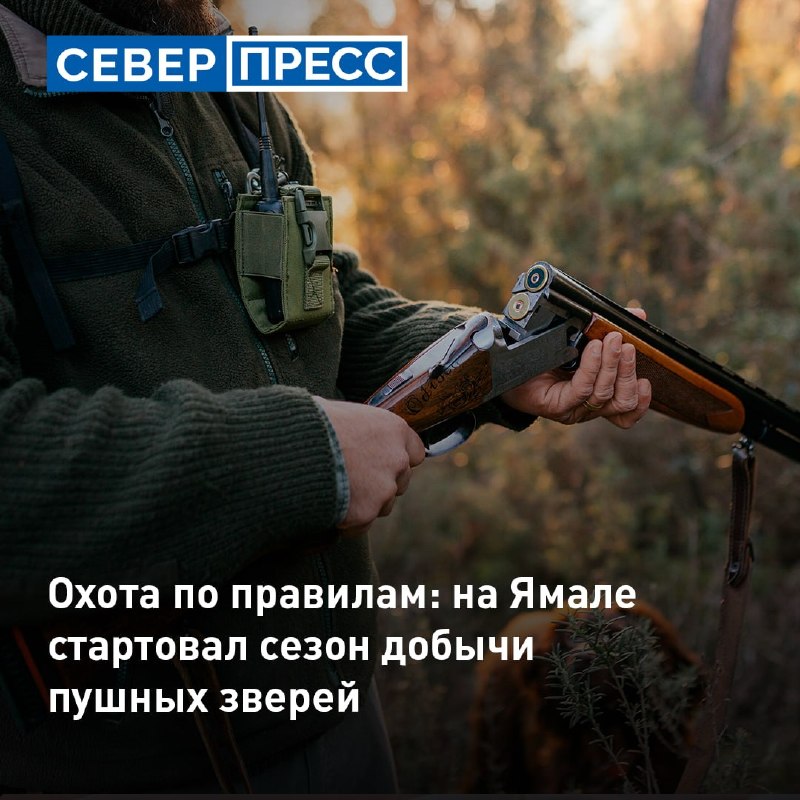 Фото поста канала  Мониторинг 89 Ямало-Ненецкий АО