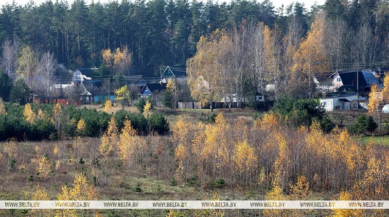 Фото поста канала  Виртуальный Брест новости