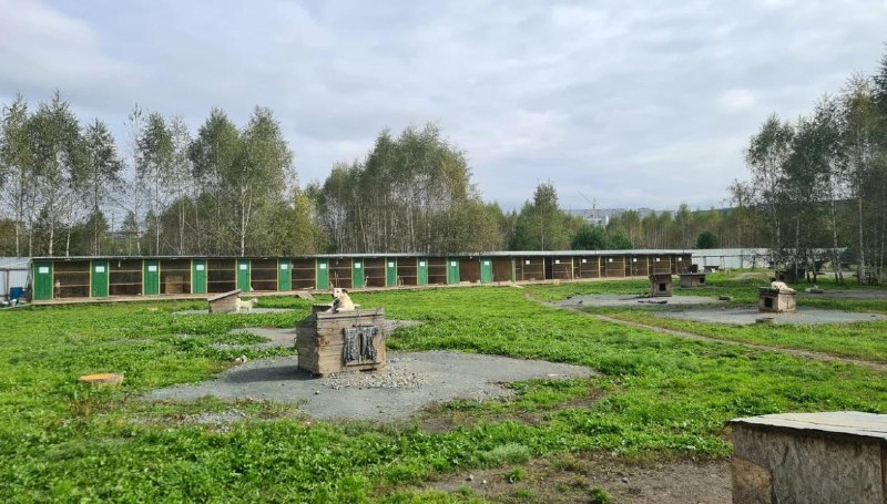 Фото поста канала  Ревдинский рабочий | Ревда