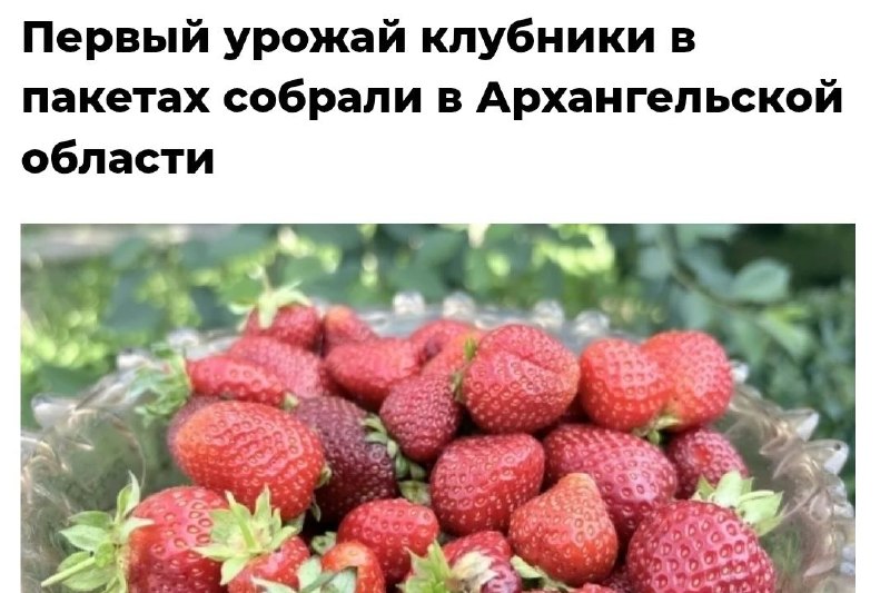 Фото поста канала  🅰️ Архангельск