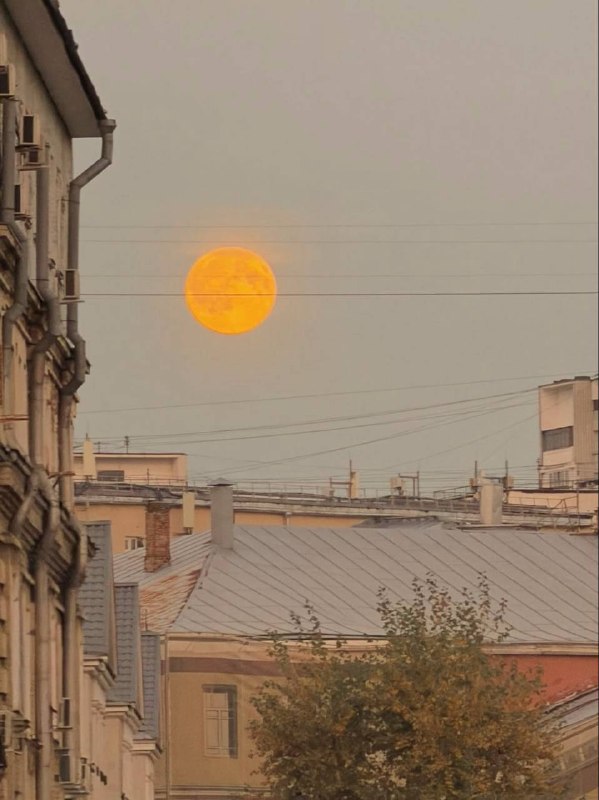 Фото поста канала Москва с огоньком