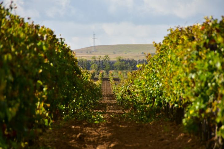 Фото поста канала  Телеграммы иZ Крыма