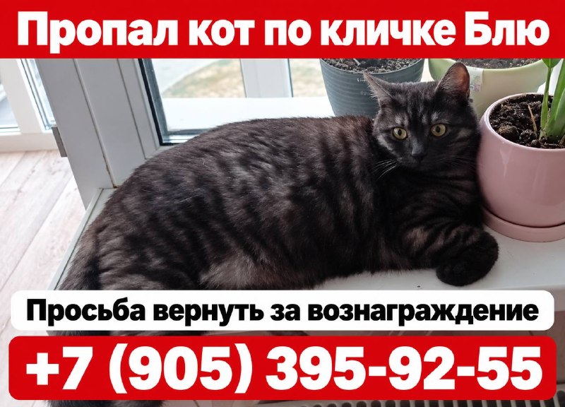 Фото поста канала  Блокнот Волжский
