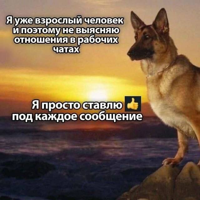 Фото поста канала Programmer & IT Memes