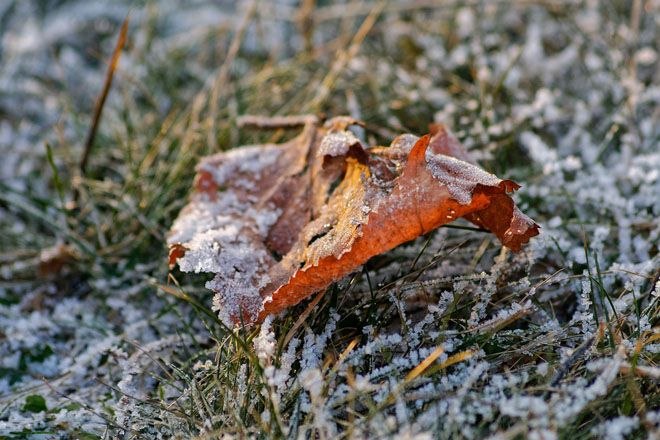 Фото поста канала  Котятишны ньюZ
