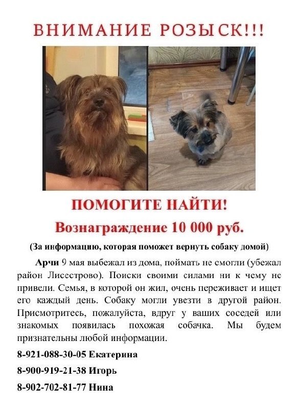 Фото поста канала  Мониторинг Арктика