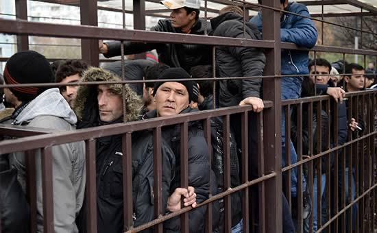 Фото поста канала  Русский котик оптимист