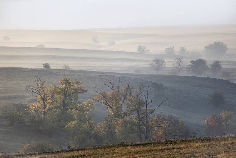 Фото поста канала  Подслушано Каменск-Шахтинский