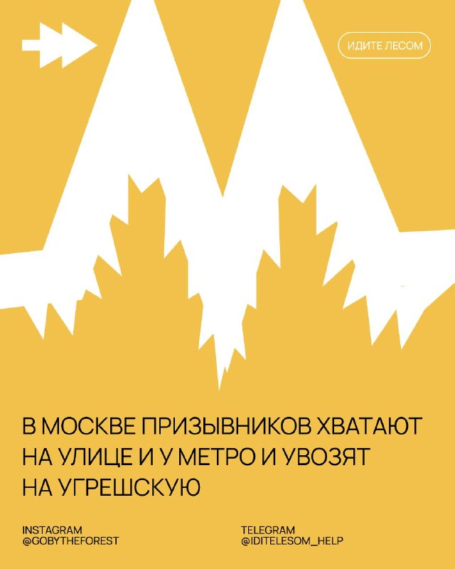Фото поста канала Идите лесом!