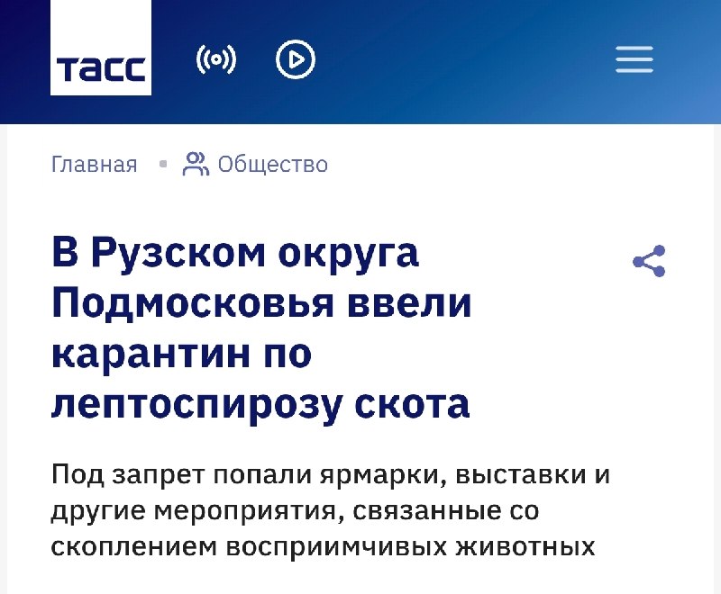 Фото поста канала Доллар по тридцать