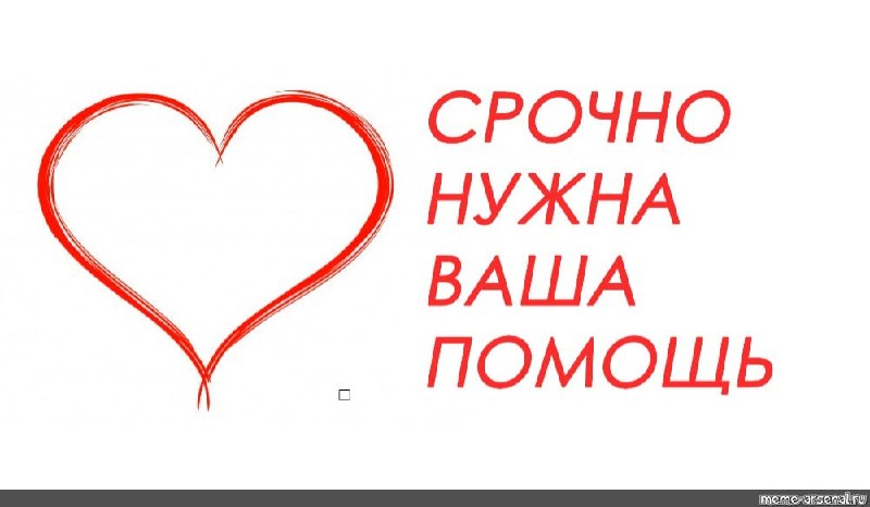 Фото поста канала  Помогите Донбассу (канал Светланы Ольшевской)