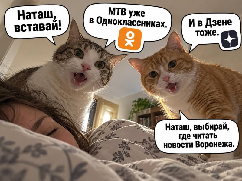 Фото поста канала Мой и твой Воронеж
