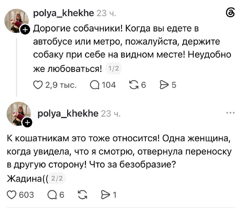 Фото поста канала  В карбюраторе конденсат 🇷🇺