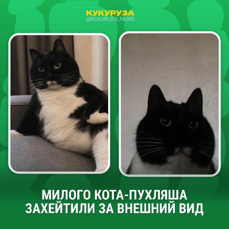 Фото поста канала НГС — новости Новосибирска