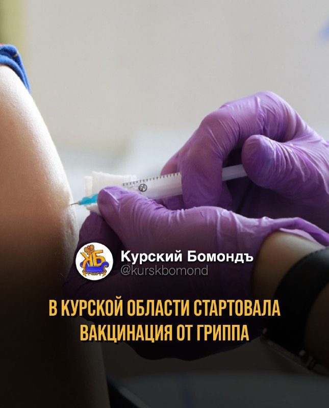 Фото поста канала  КУРСКИЙ БОМОНДЪ
