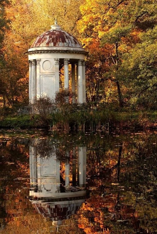 Фото поста канала ГородОК Жуковский Раменское