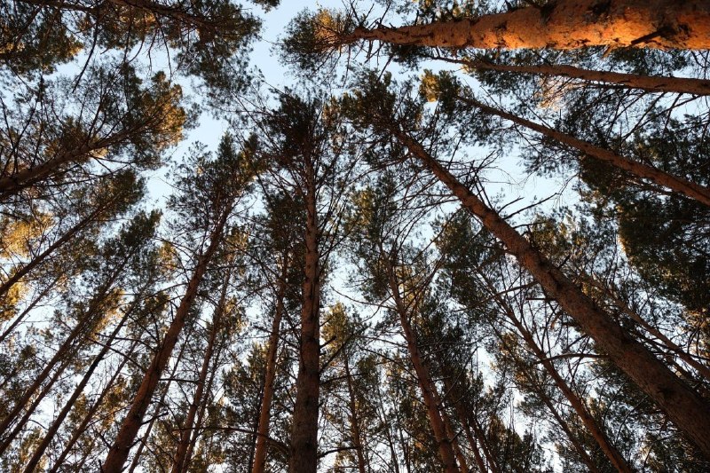 Фото поста канала  Activatica.org 🟠 Активатика