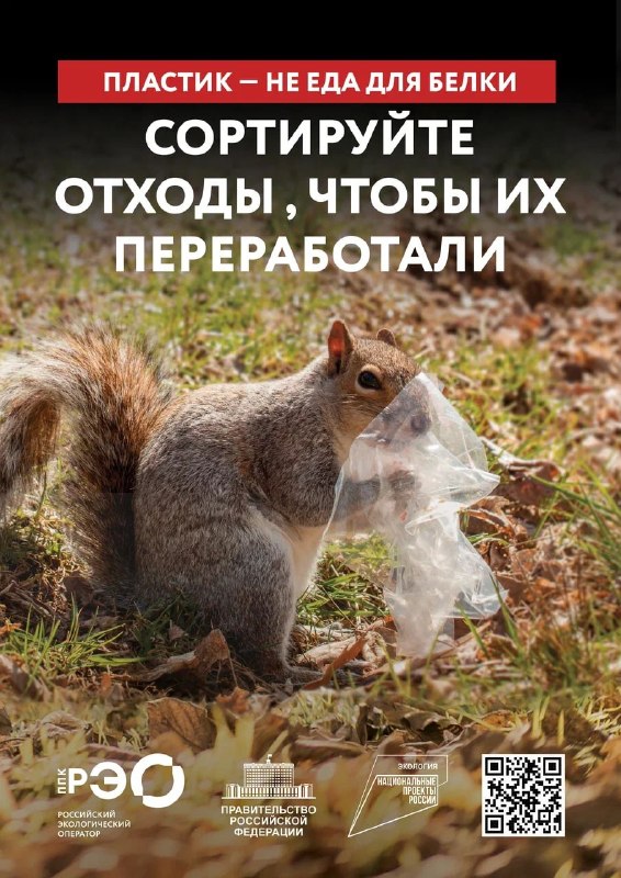 Фото поста канала  Лента новостей Херсона | Z