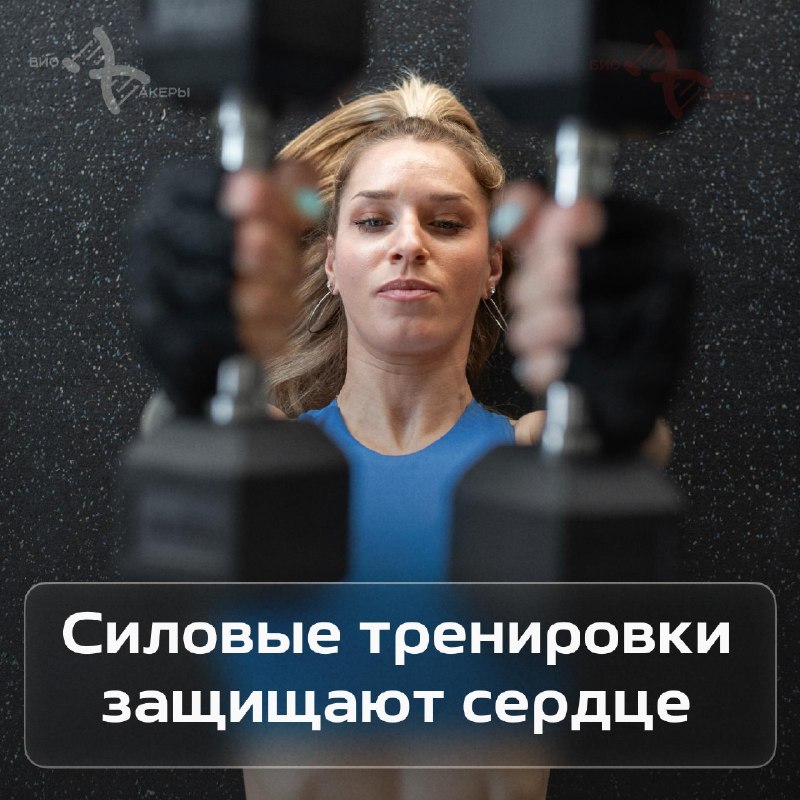 Фото поста канала Биохакеры