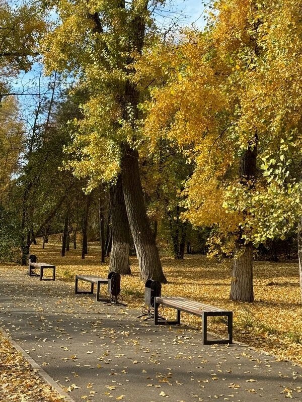 Фото поста канала  Оренбург онлайн | Новости