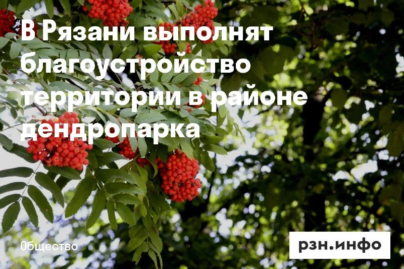 Фото поста канала  Новости Рязани • РЗН.инфо