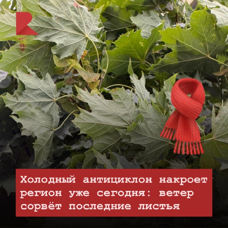 Фото поста канала RZN LIFE | ЖИЗНЬ РЯЗАНИ | РЯЗАНЬ