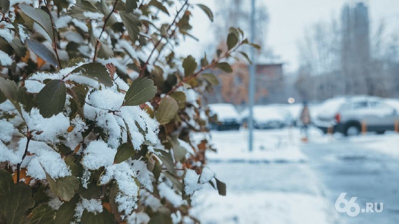 Фото поста канала  66.RU | Новости из Екатеринбурга