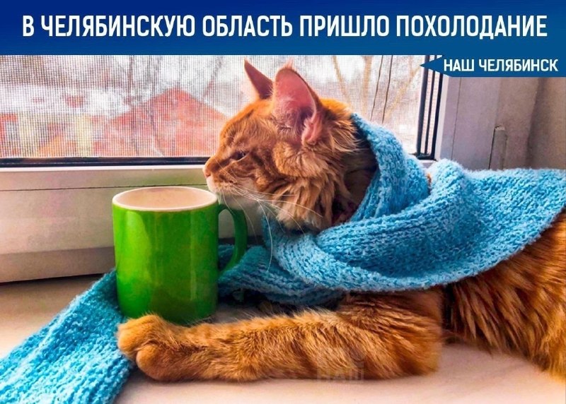 Фото поста канала  Наш Челябинск
