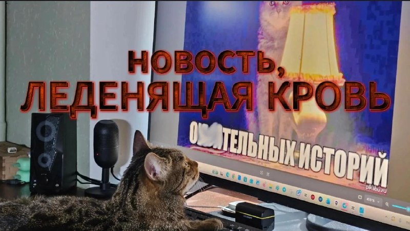 Фото поста канала Мир Михаила  Онуфриенко