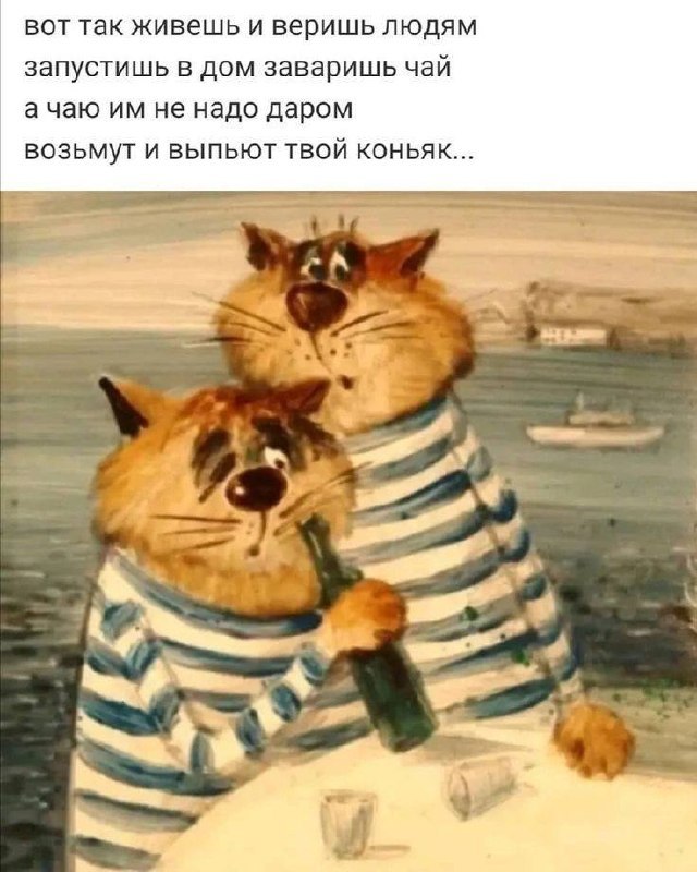 Фото поста канала Анекдоты | Мемы | Юмор 🍒