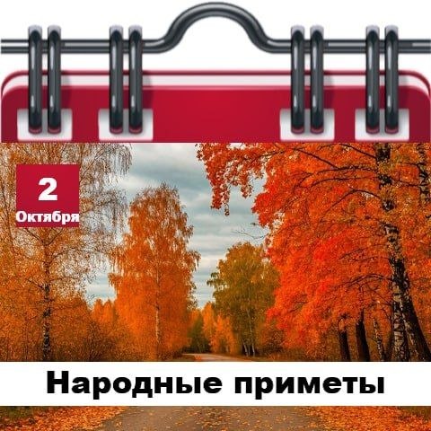 Фото поста канала  Жесть Шебекино