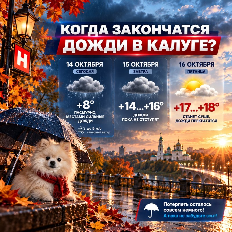 Фото поста канала  НИКА