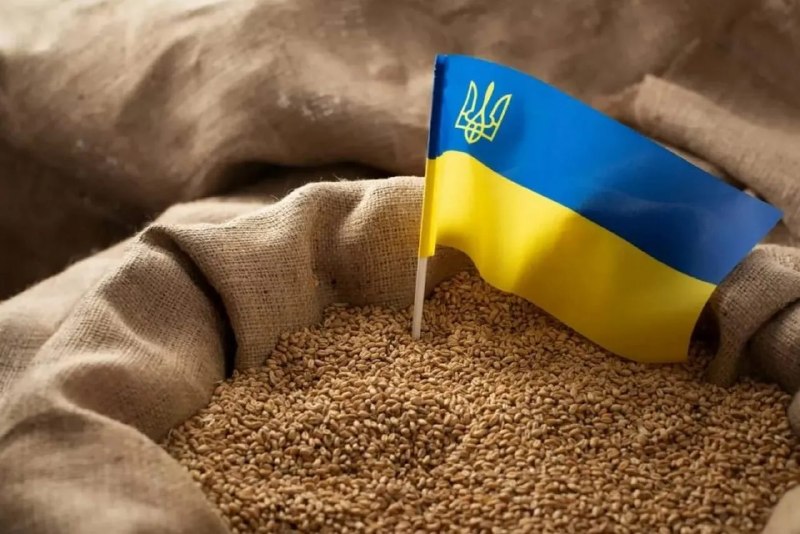Фото поста канала  Украина беZ вариантов