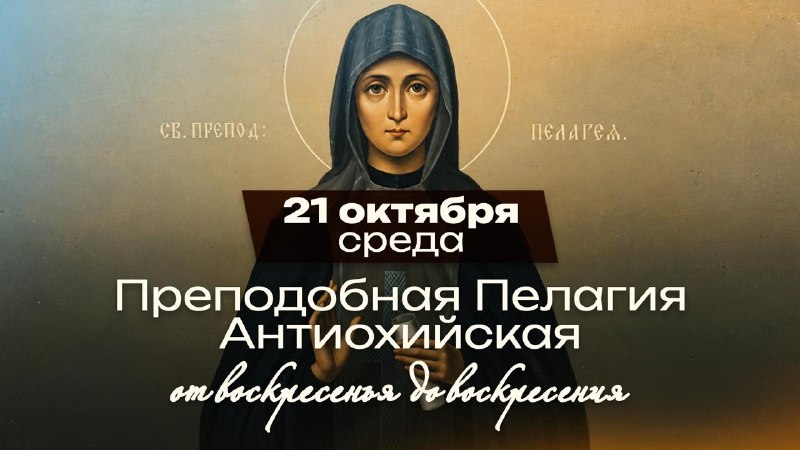 Фото поста канала  Телеканал СПАС
