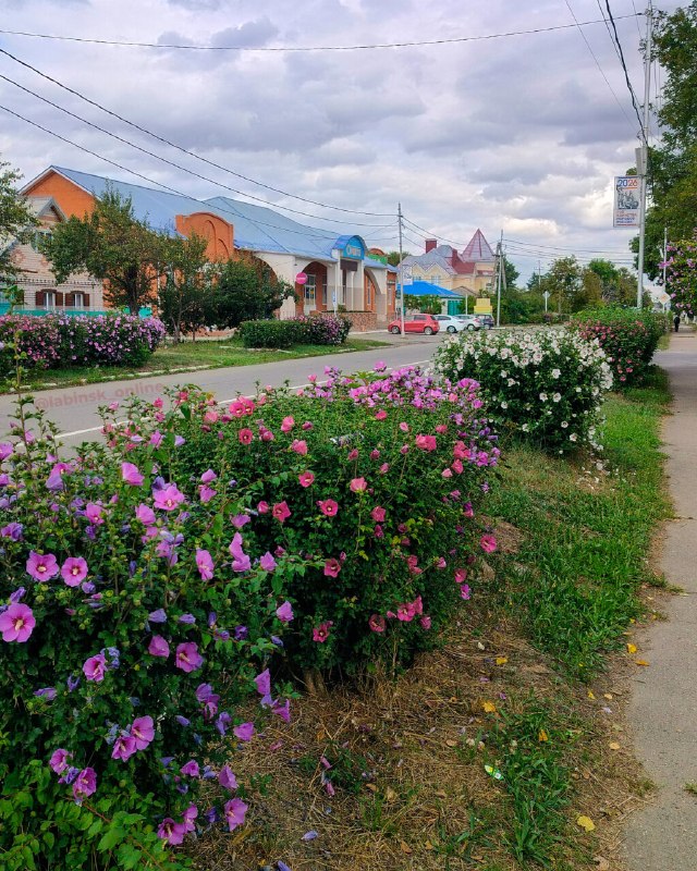 Фото поста канала  Лабинск Онлайн Новости 🇷🇺