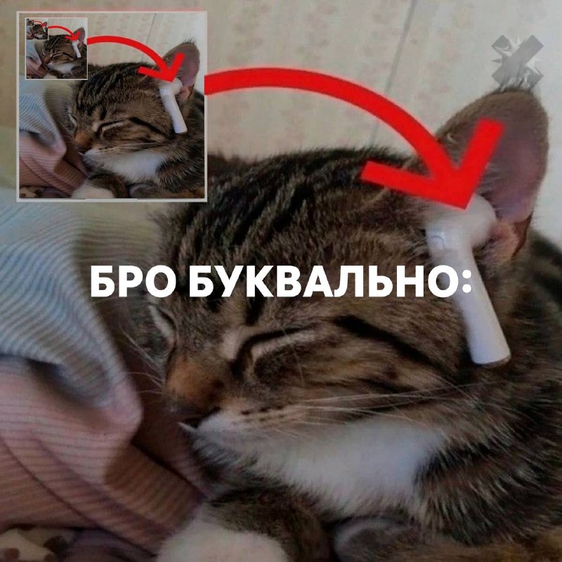 Фото поста канала НМШ 