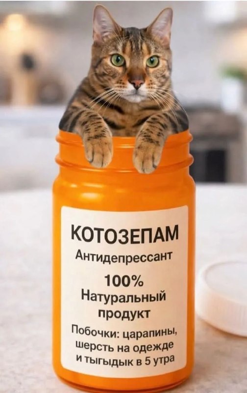 Фото поста канала  Ходють тут всякие!🍄