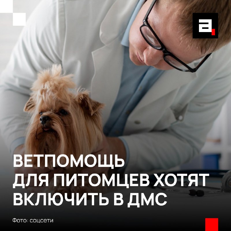 Фото поста канала  Redovka ️